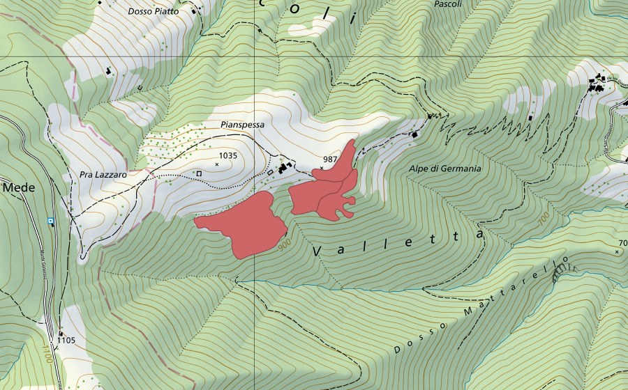 Landeskarte swisstopo mit dem Schutzperimeter von Pianspessa (Trockenwiese)