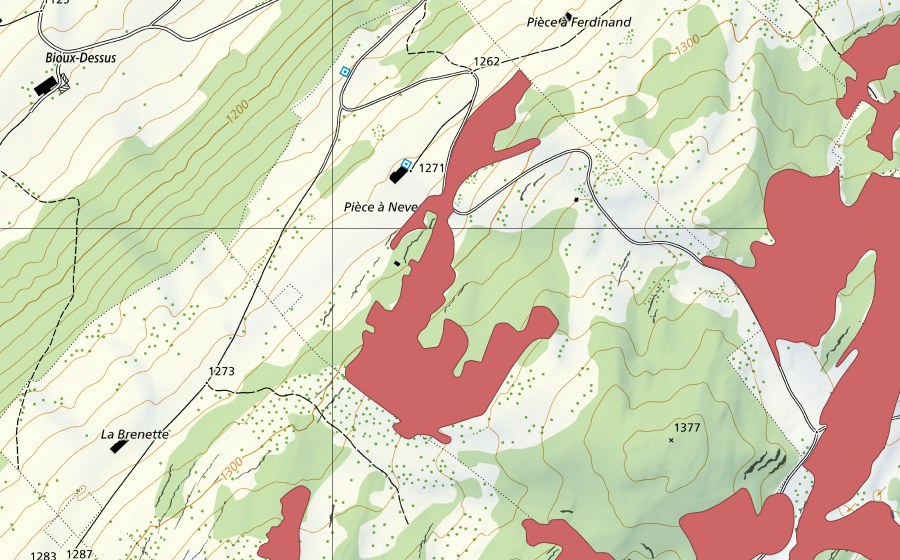 swisstopo national map showing the protected perimeter of Pièce à Neveu (Dry meadow)
