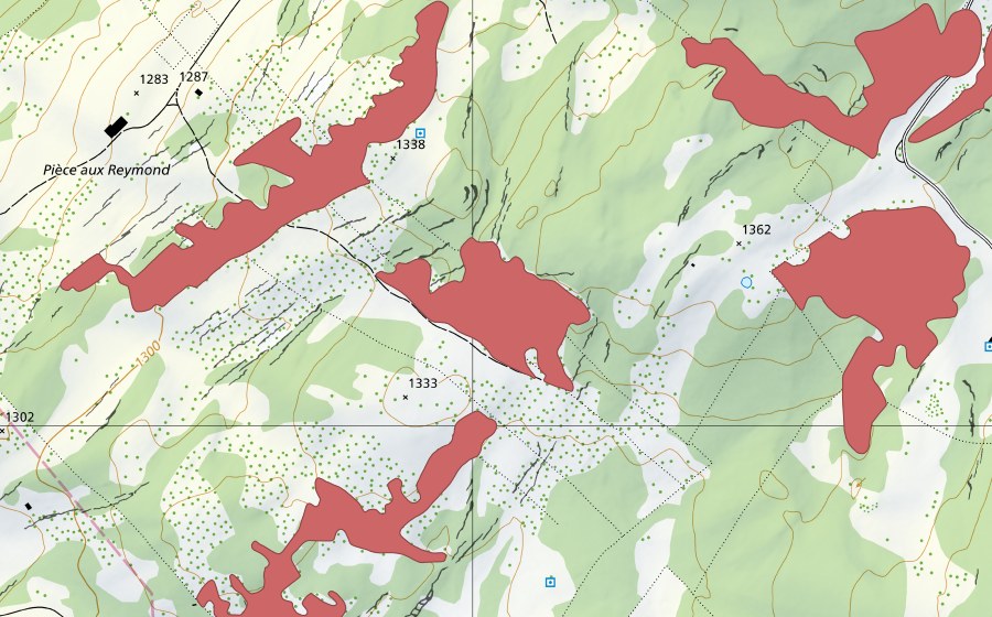 Landeskarte swisstopo mit dem Schutzperimeter von Pièce aux Reymond (Trockenwiese)