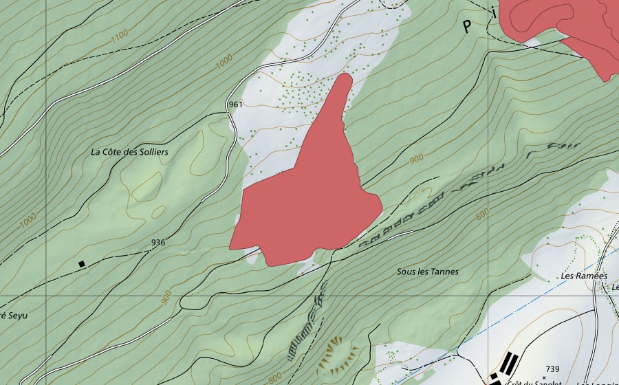 swisstopo national map showing the protected perimeter of Piémont (Dry meadow)