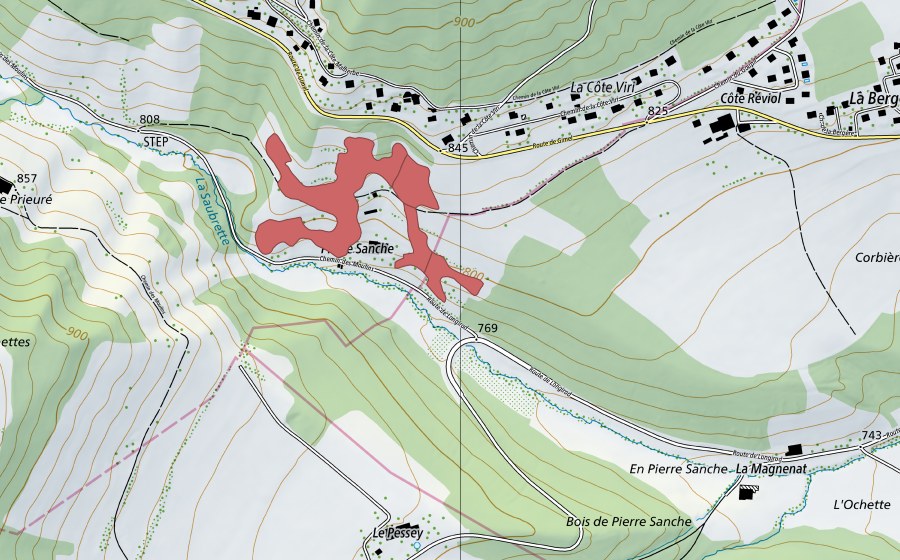 Landeskarte swisstopo mit dem Schutzperimeter von Pierre Sanche (Trockenwiese)