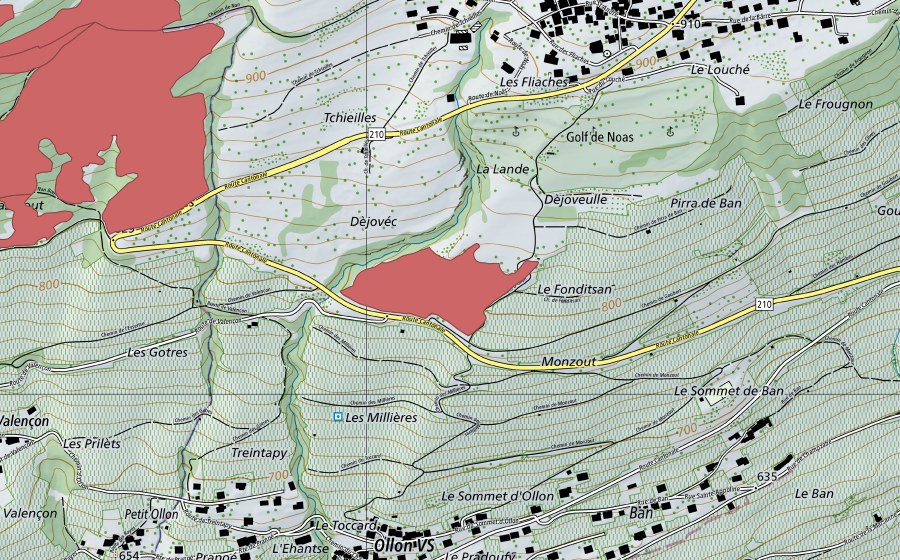 swisstopo national map showing the protected perimeter of Pirra de Ban (Dry meadow)