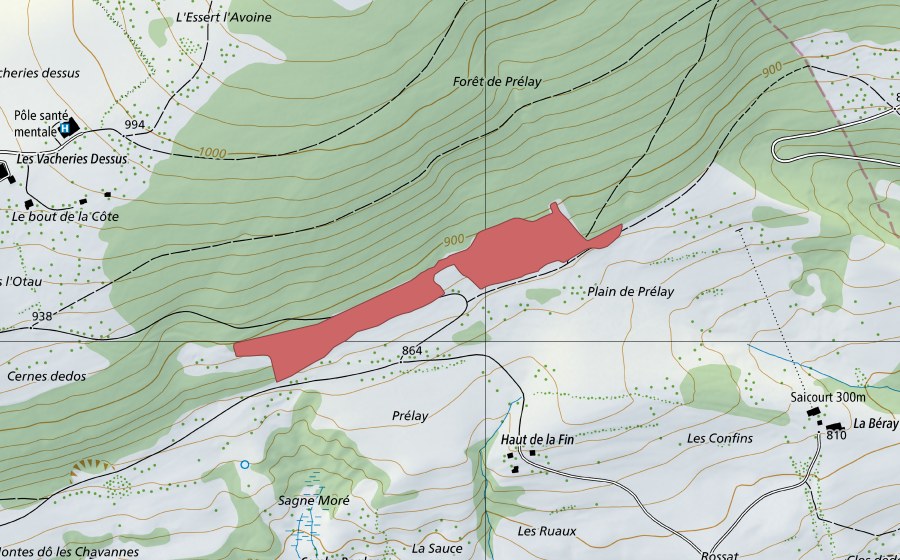 Carte nationale swisstopo avec le périmètre protégé de Plain de Prélay (Prairie sèche)