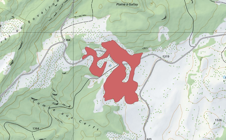 Landeskarte swisstopo mit dem Schutzperimeter von Plaine à Gallay (Trockenwiese)