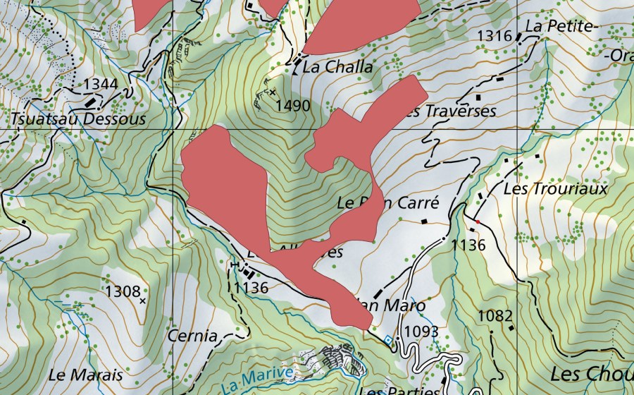swisstopo national map showing the protected perimeter of Plan Carré (Dry meadow)