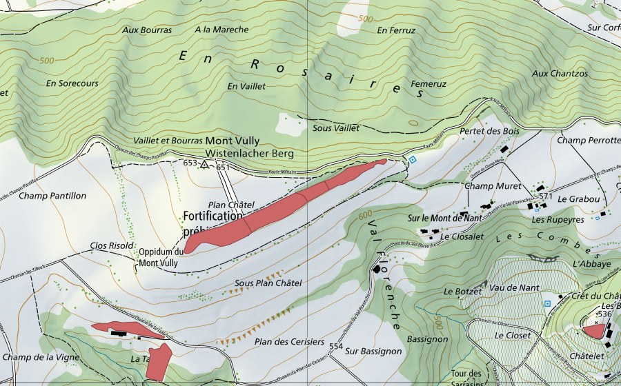 Landeskarte swisstopo mit dem Schutzperimeter von Plan Châtel (Trockenwiese)