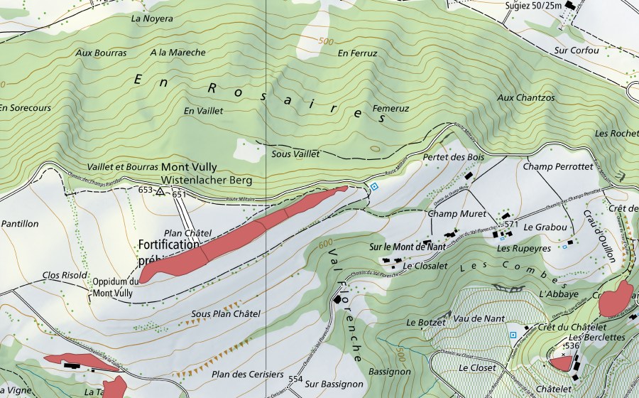 Landeskarte swisstopo mit dem Schutzperimeter von Plan Châtel (Trockenwiese)