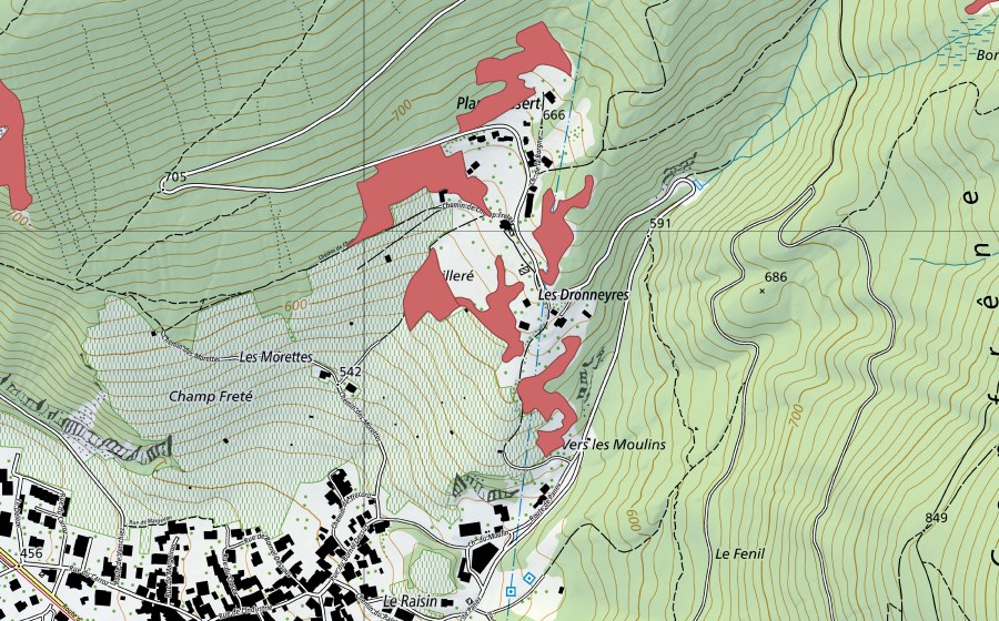 Landeskarte swisstopo mit dem Schutzperimeter von Plan d'Essert (Trockenwiese)