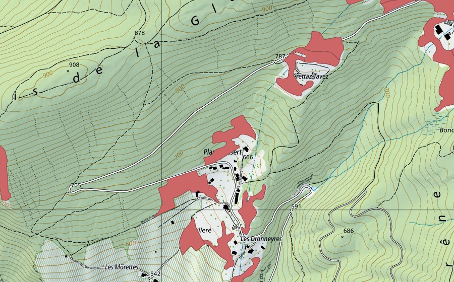 Landeskarte swisstopo mit dem Schutzperimeter von Plan d'Essert (Trockenwiese)