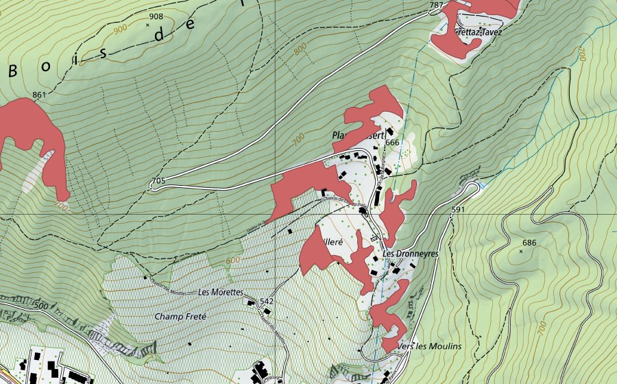 Landeskarte swisstopo mit dem Schutzperimeter von Plan d'Essert (Trockenwiese)