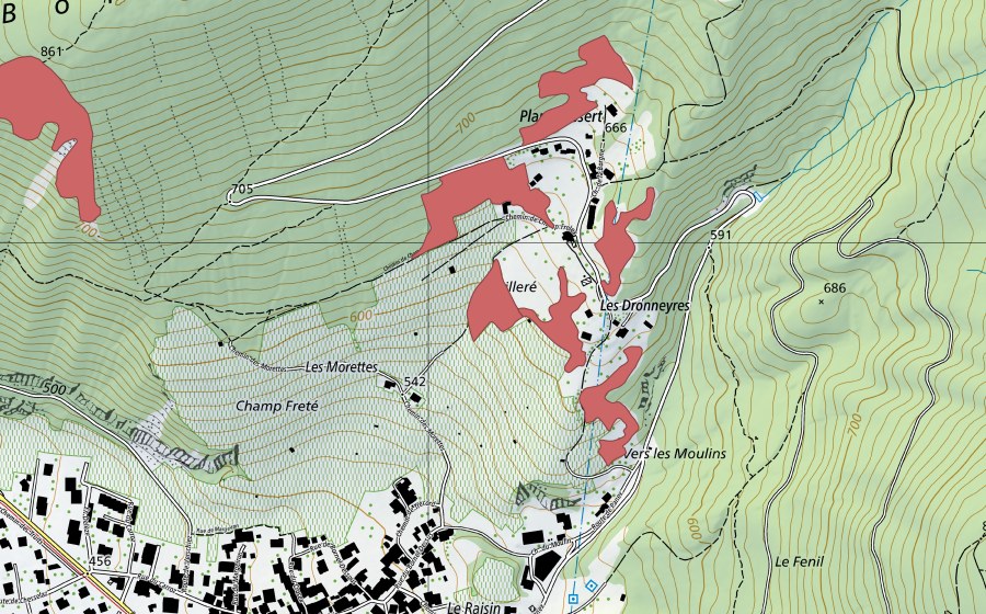 swisstopo national map showing the protected perimeter of Plan d'Essert (Dry meadow)