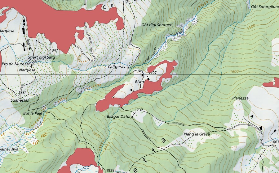Carte nationale swisstopo avec le périmètre protégé de Plan digl Bistgat (Prairie sèche)