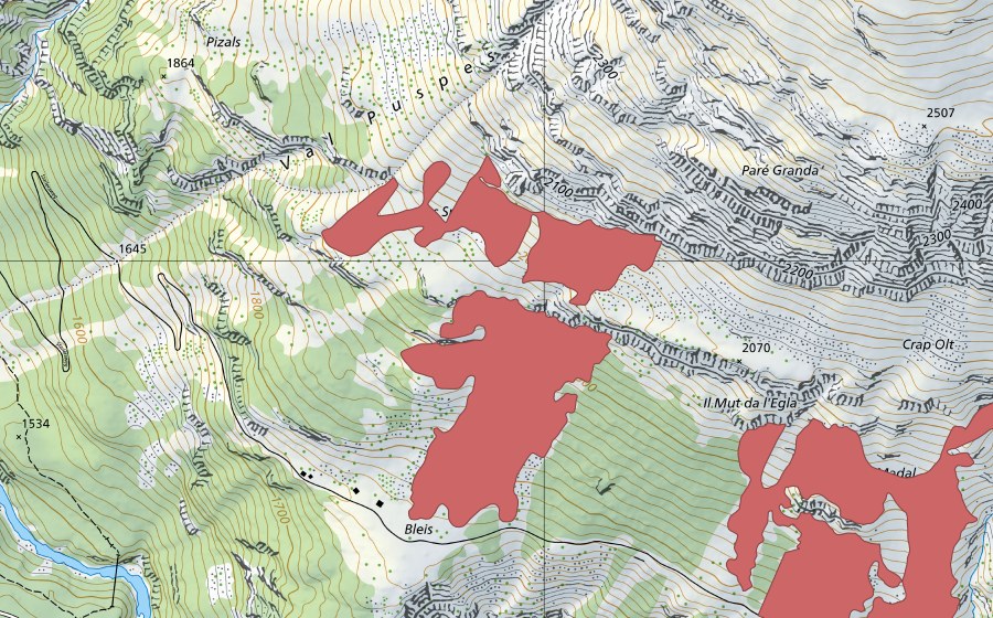 Carta nazionale swisstopo con il perimetro protetto di Planca (Prato secco)