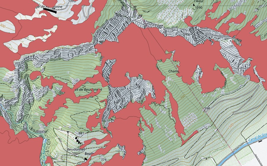 swisstopo national map showing the protected perimeter of Planches de Mazembroz (Dry meadow)