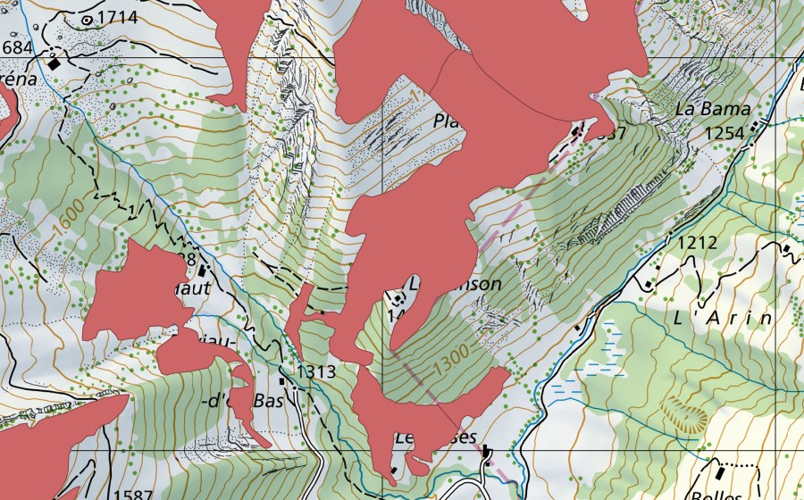 swisstopo national map showing the protected perimeter of Planex Dessous (Dry meadow)