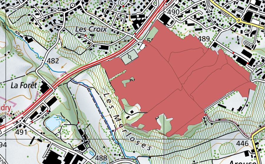 Carte nationale swisstopo avec le périmètre protégé de Planeyse (Prairie sèche)