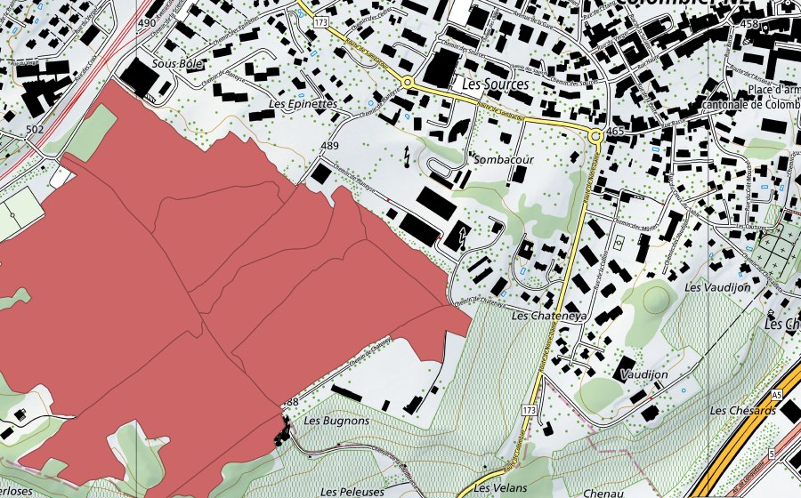 Landeskarte swisstopo mit dem Schutzperimeter von Planeyse (Trockenwiese)