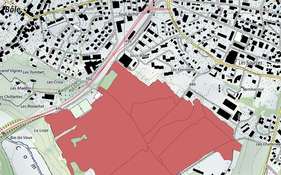 Landeskarte swisstopo mit dem Schutzperimeter von Planeyse (Trockenwiese)