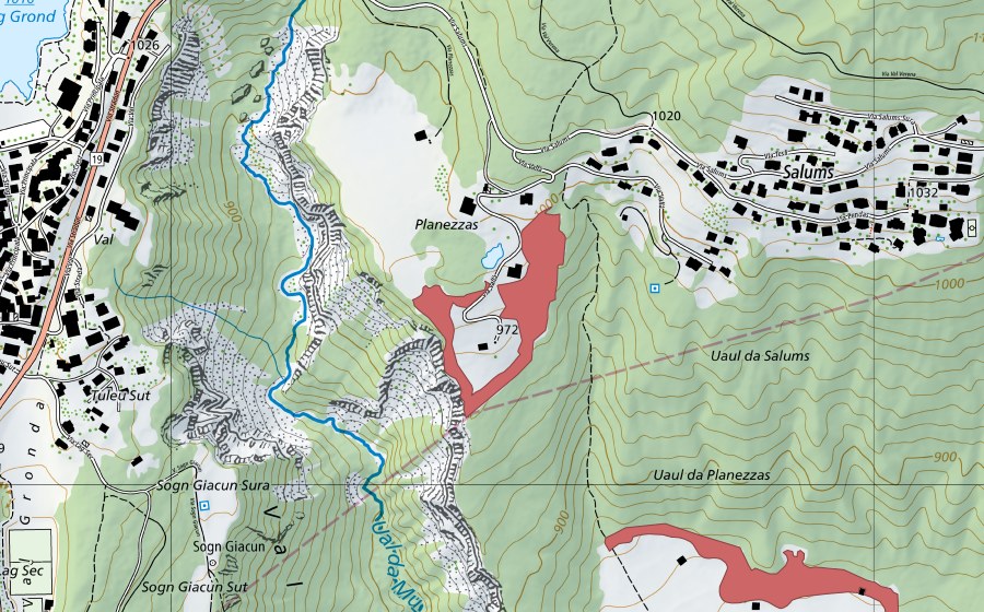 swisstopo national map showing the protected perimeter of Planezzas (Dry meadow)