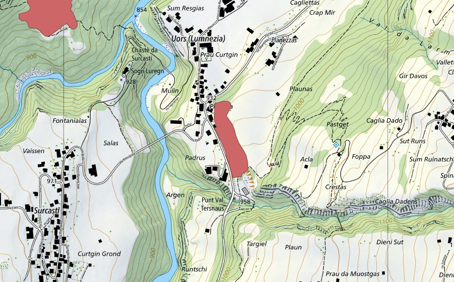 Carte nationale swisstopo avec le périmètre protégé de Planezzas (Prairie sèche)