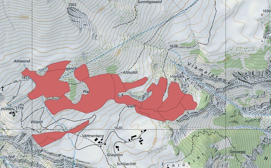 Landeskarte swisstopo mit dem Schutzperimeter von Planggen (Trockenwiese)