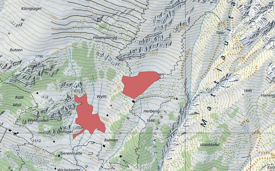 swisstopo national map showing the protected perimeter of Planggen (Dry meadow)