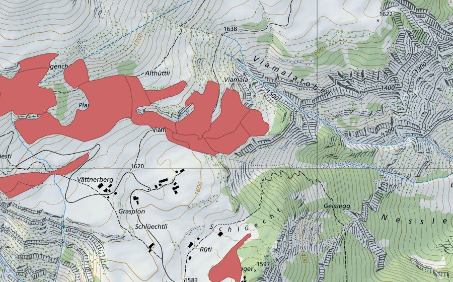 Carte nationale swisstopo avec le périmètre protégé de Planggen (Prairie sèche)