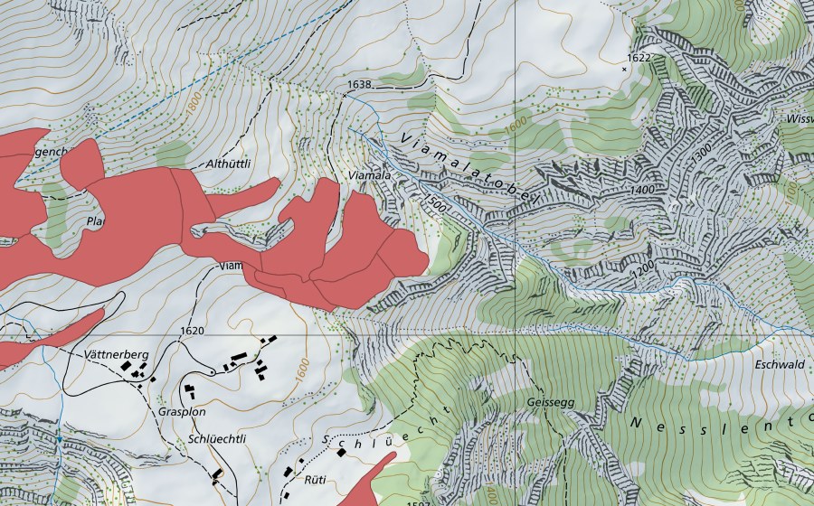 swisstopo national map showing the protected perimeter of Planggen (Dry meadow)