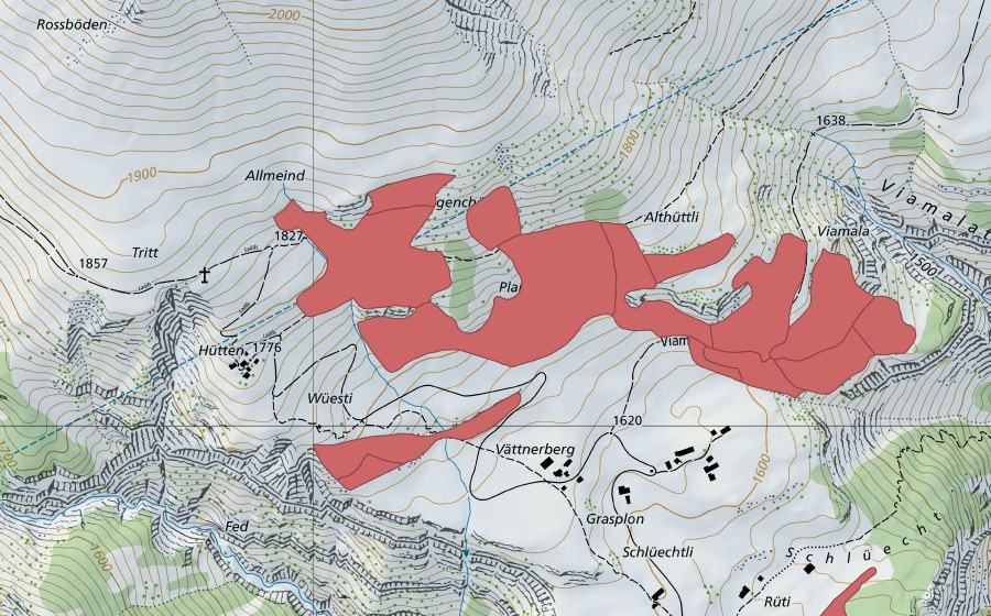 swisstopo national map showing the protected perimeter of Planggen (Dry meadow)