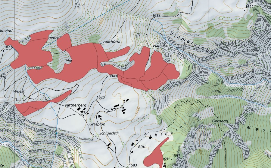 Carte nationale swisstopo avec le périmètre protégé de Planggen (Prairie sèche)