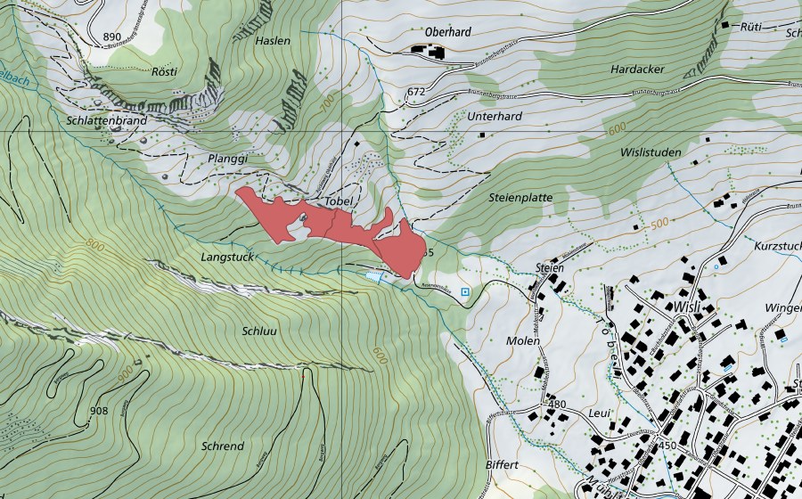 Landeskarte swisstopo mit dem Schutzperimeter von Planggi (Trockenwiese)