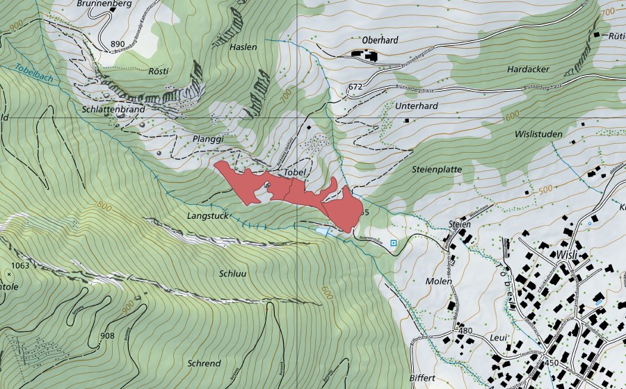 Landeskarte swisstopo mit dem Schutzperimeter von Planggi (Trockenwiese)
