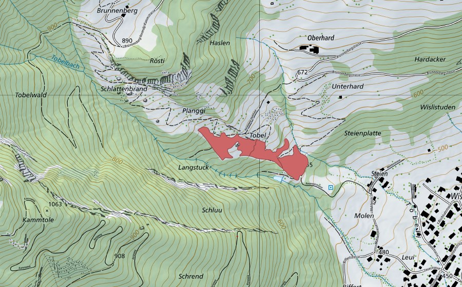 Carte nationale swisstopo avec le périmètre protégé de Planggi (Prairie sèche)