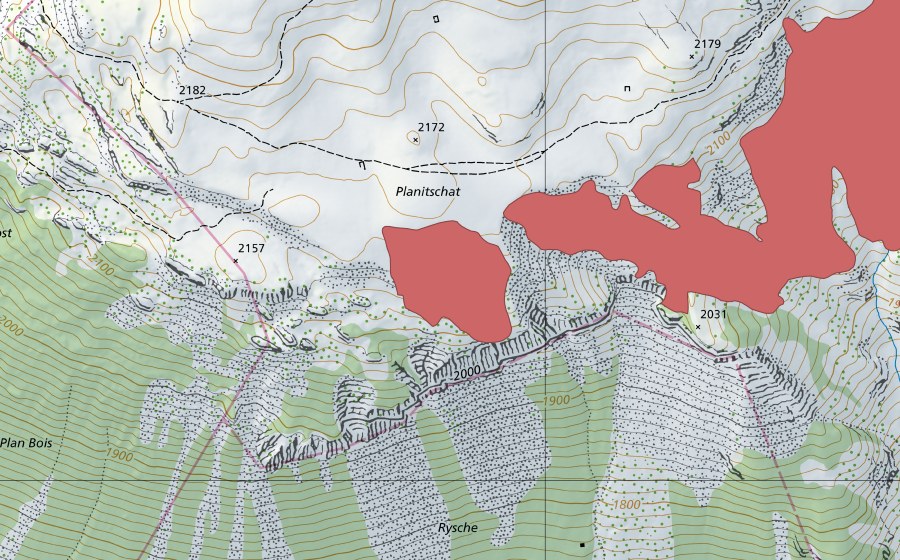swisstopo national map showing the protected perimeter of Planitschat (Dry meadow)