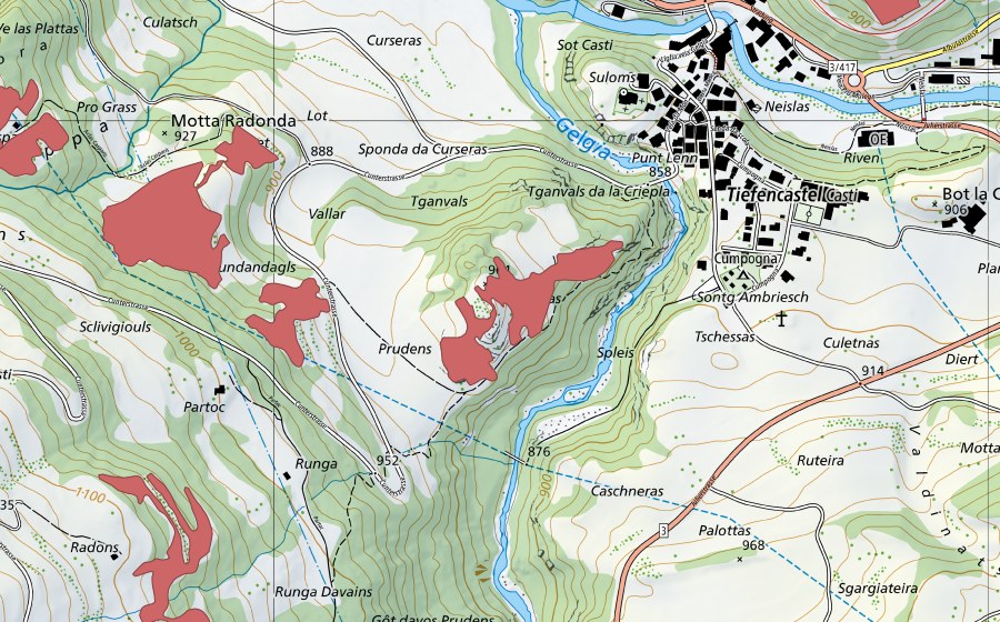 swisstopo national map showing the protected perimeter of Plattas (Dry meadow)