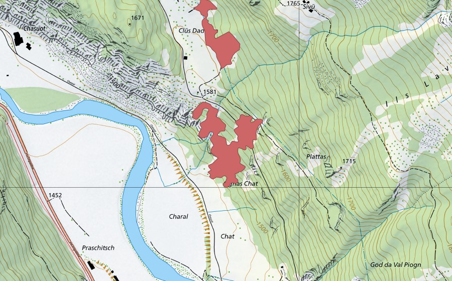 swisstopo national map showing the protected perimeter of Plattas (Dry meadow)