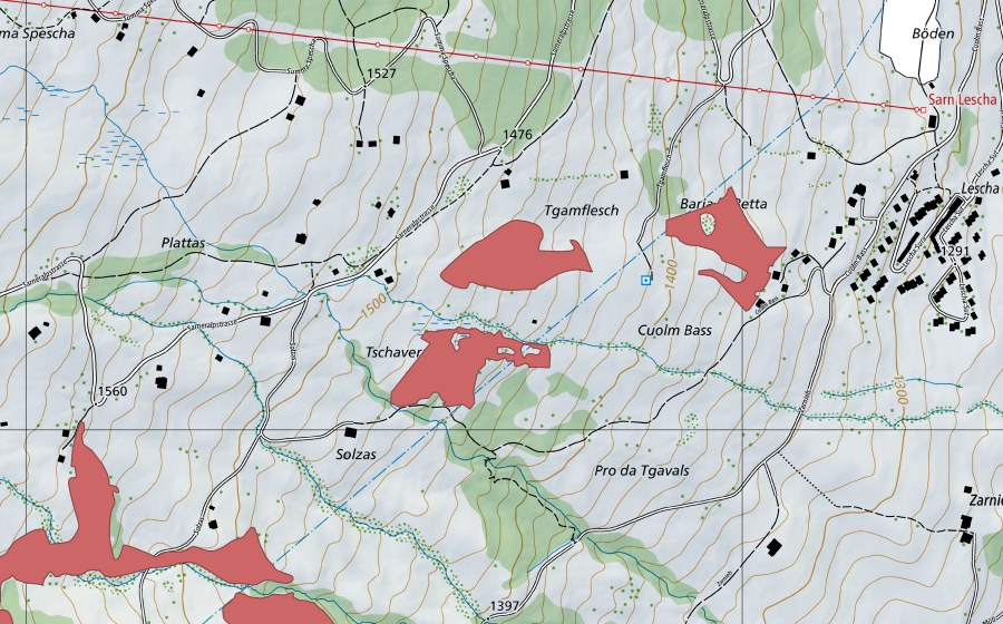 Carte nationale swisstopo avec le périmètre protégé de Plattas (Prairie sèche)