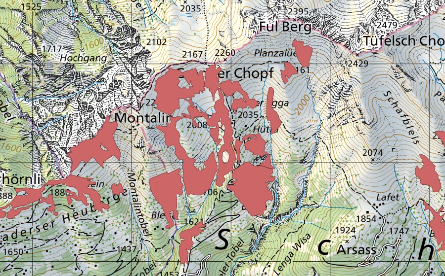 Carte nationale swisstopo avec le périmètre protégé de Platte (Prairie sèche)