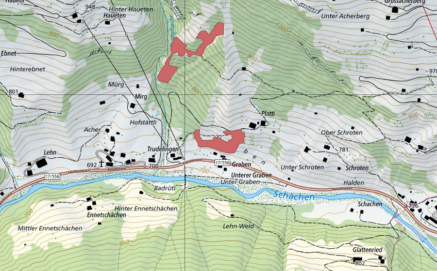 Landeskarte swisstopo mit dem Schutzperimeter von Platti (Trockenwiese)