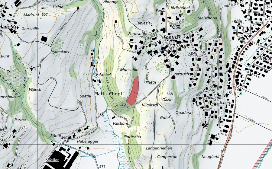Landeskarte swisstopo mit dem Schutzperimeter von Plattis-Chopf (Trockenwiese)