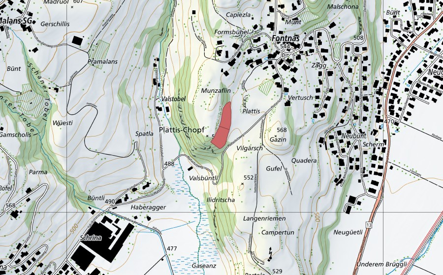 swisstopo national map showing the protected perimeter of Plattis-Chopf (Dry meadow)