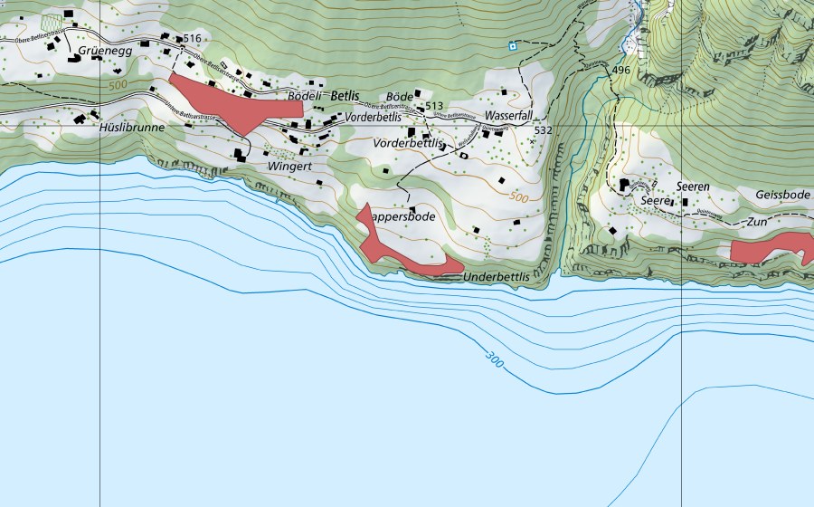 swisstopo national map showing the protected perimeter of Plättli (Dry meadow)