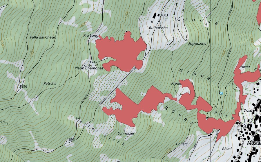 Carte nationale swisstopo avec le périmètre protégé de Plaun Chamonas (Prairie sèche)