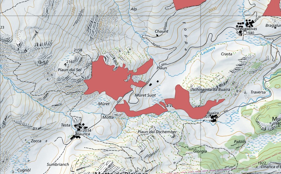 Landeskarte swisstopo mit dem Schutzperimeter von Plaun dal Sel (Trockenwiese)