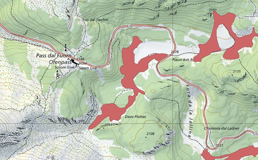 swisstopo national map showing the protected perimeter of Plaun dals Bovs (Dry meadow)