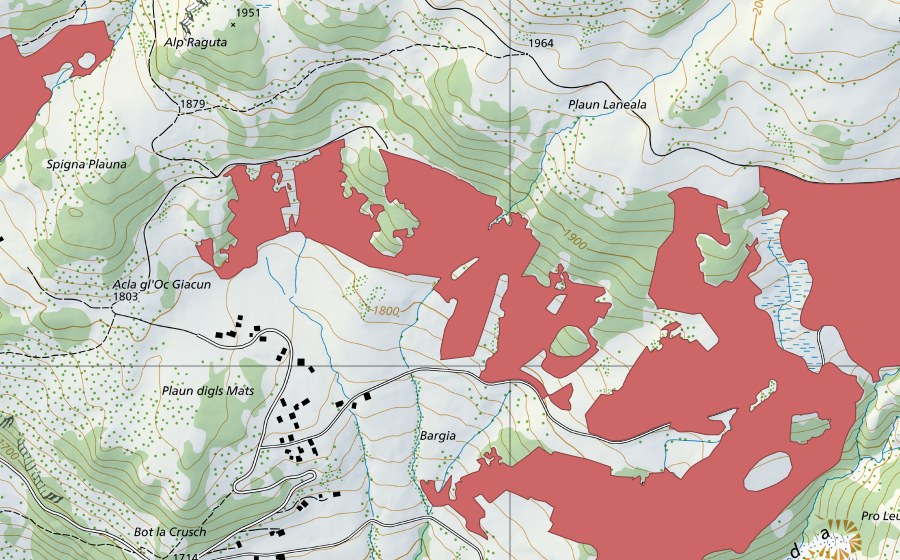 swisstopo national map showing the protected perimeter of Plaun digls-Mats (Dry meadow)