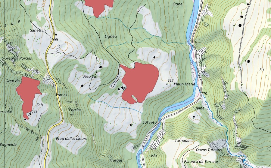 Landeskarte swisstopo mit dem Schutzperimeter von Plaun Maria (Trockenwiese)
