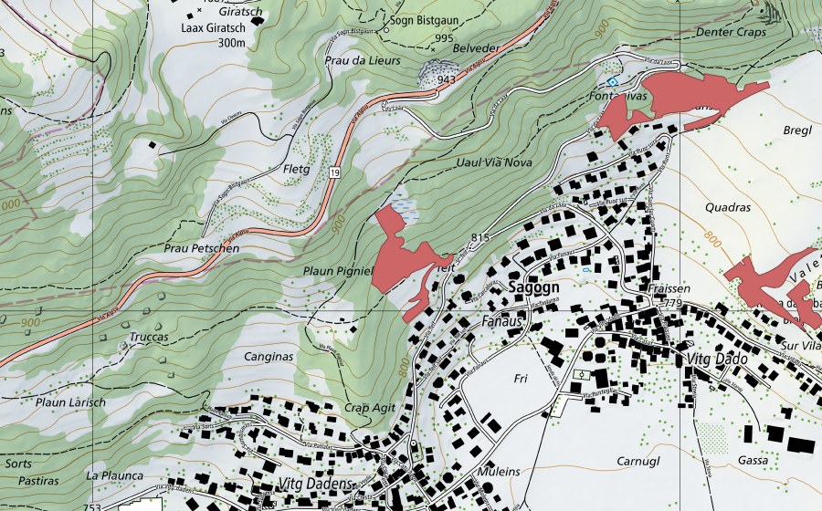 Landeskarte swisstopo mit dem Schutzperimeter von Plaun Pigniel (Trockenwiese)
