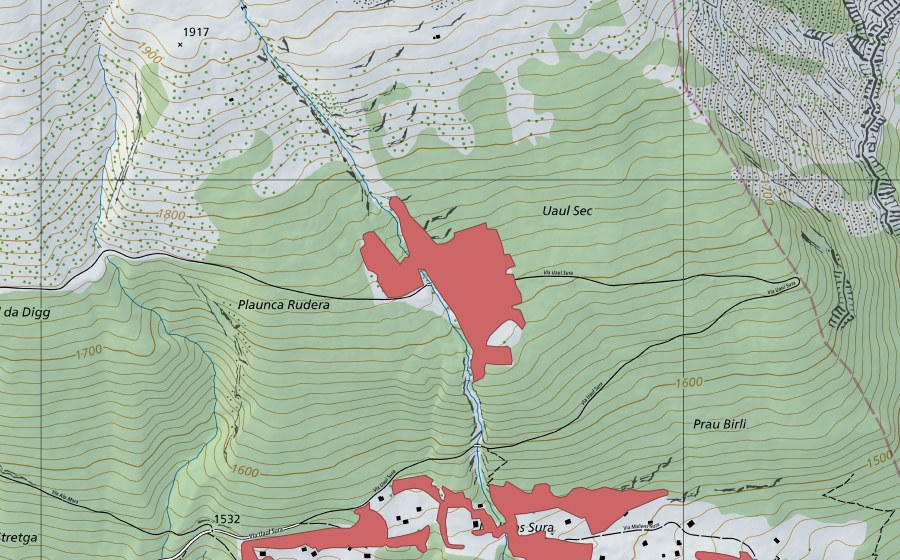 Landeskarte swisstopo mit dem Schutzperimeter von Plaunca-Rudera (Trockenwiese)