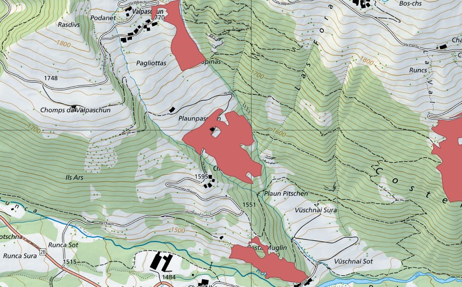swisstopo national map showing the protected perimeter of Plaunpaschun (Dry meadow)
